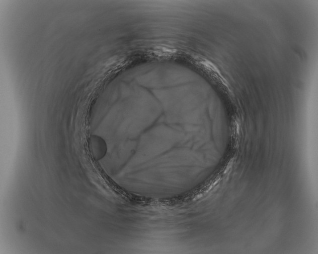 X0000112891009200909111459