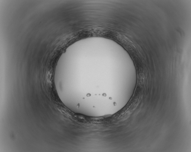 X0000112891010200909111459