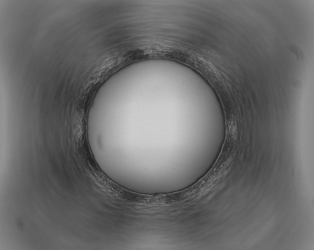 X0000112891012200909111459