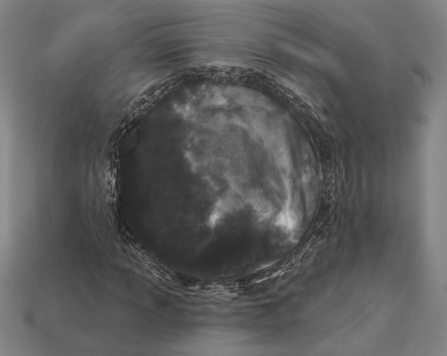 X0000112891013200909111459
