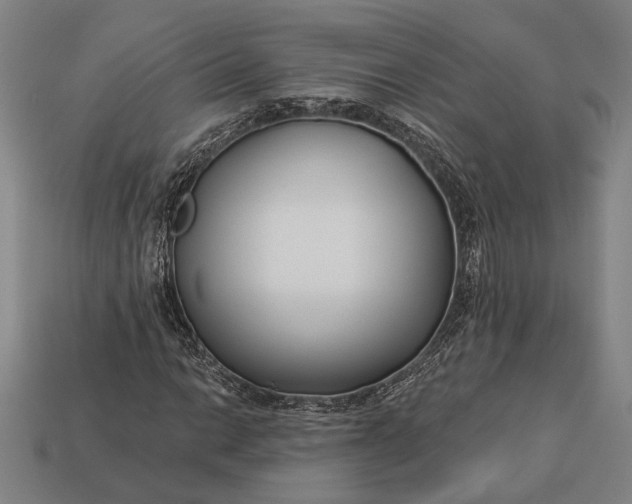 X0000112891014200909111500