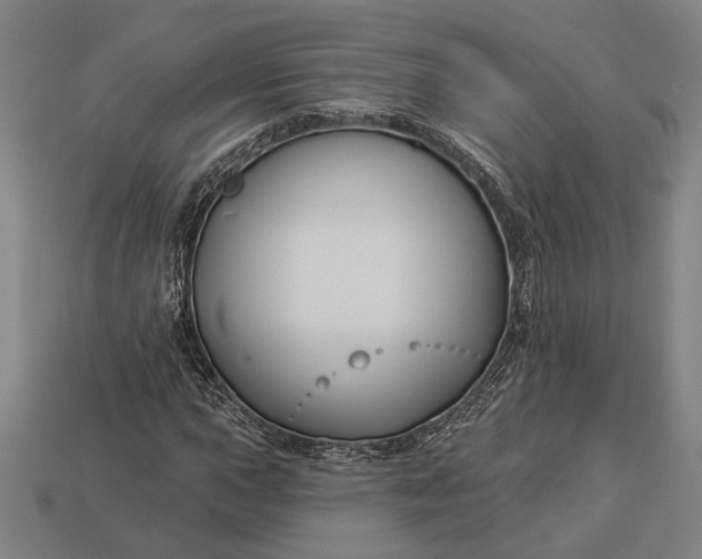 X0000112891015200909111500