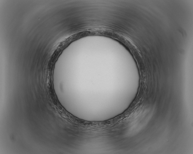 X0000112891016200909111500