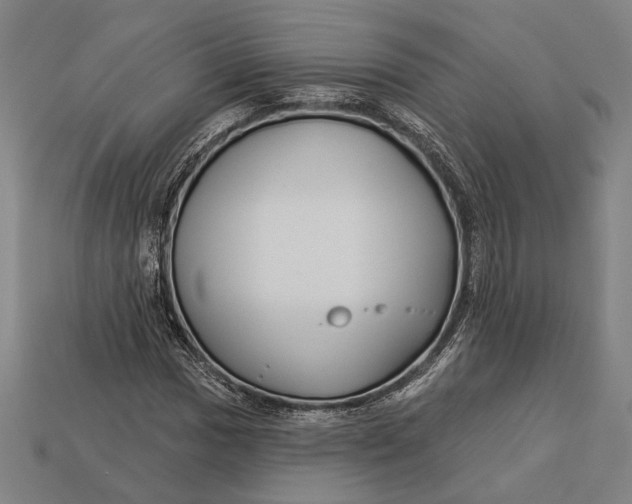 X0000112891017200909111500