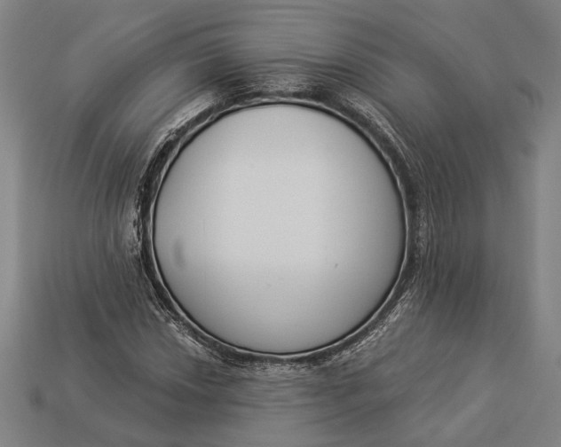 X0000112891018200909111500