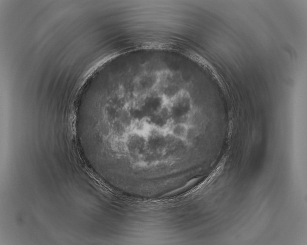 X0000112891019200909111500