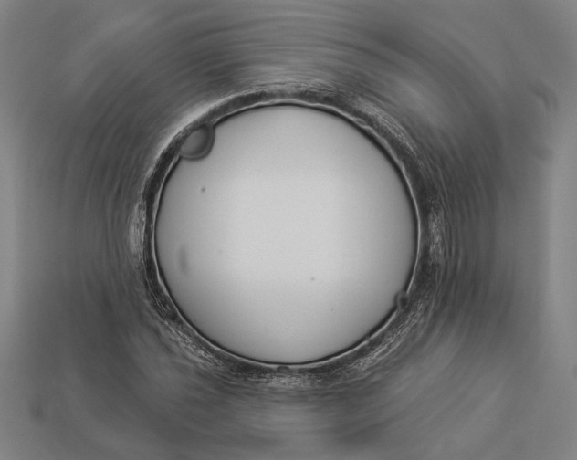 X0000112891021200909111500