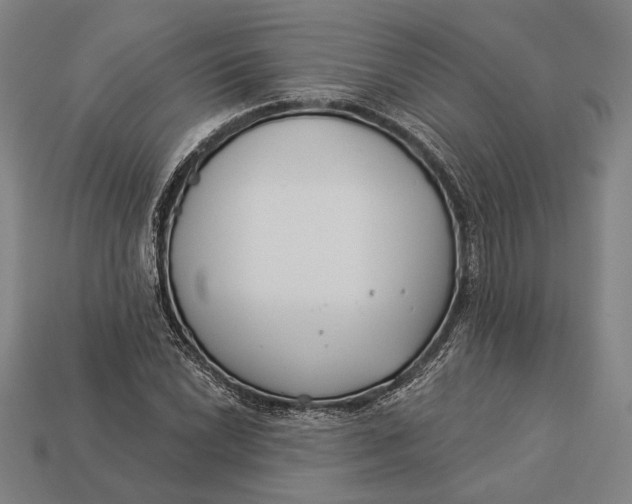 X0000112891022200909111500