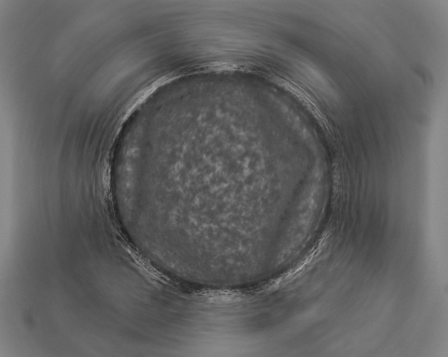 X0000112891023200909111500