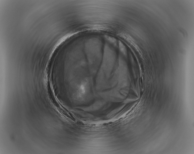 X0000112891024200909111500