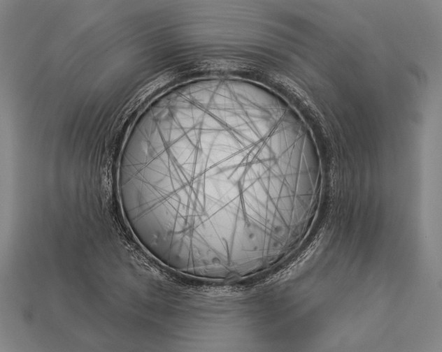 X0000112891025200909111500