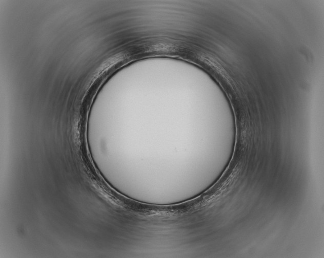 X0000112891026200909111500