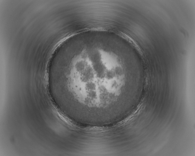 X0000112891027200909111500