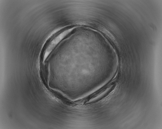 X0000112891028200909111500