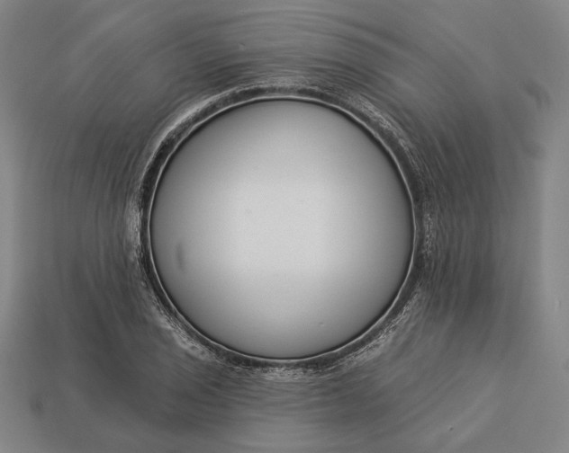 X0000112891029200909111500