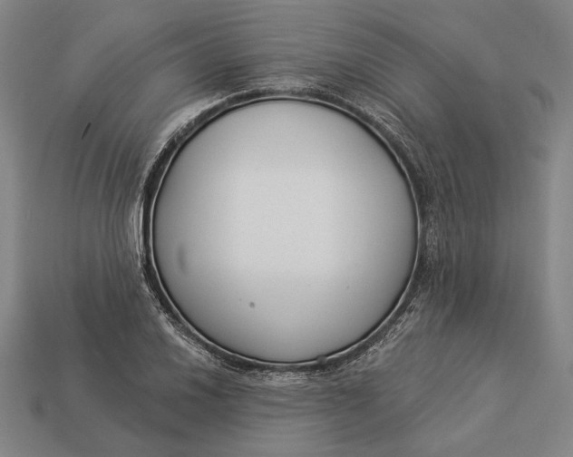 X0000112891030200909111500