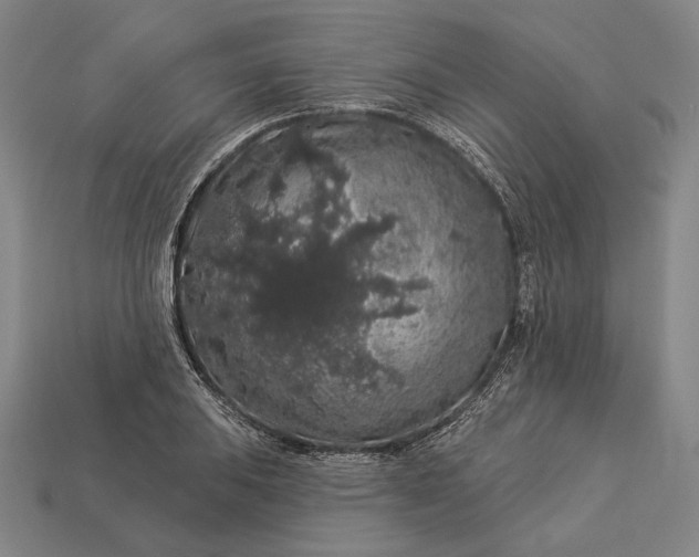 X0000112891031200909111500