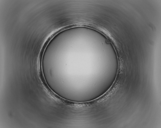 X0000112891032200909111500