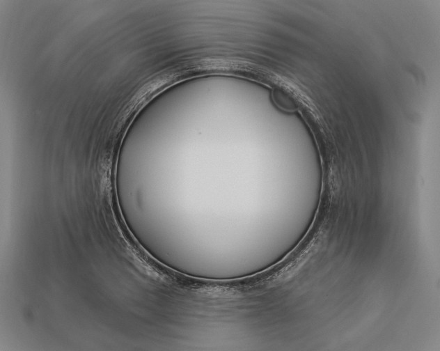 X0000112891033200909111500