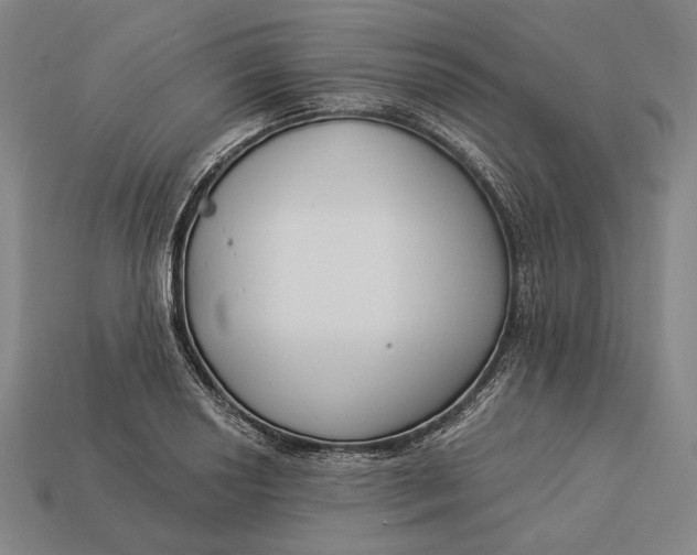 X0000112891034200909111500