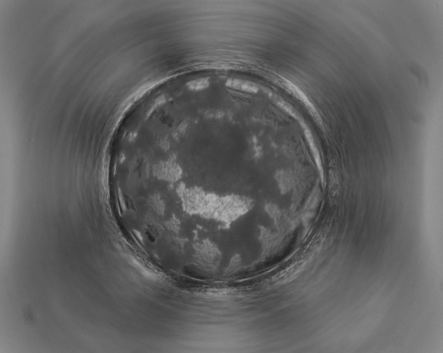 X0000112891035200909111500