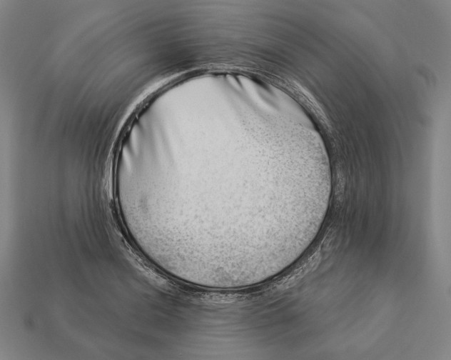 X0000112891036200909111500