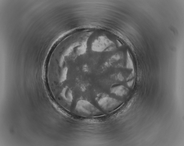 X0000112891037200909111500