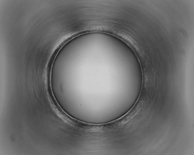 X0000112891038200909111500