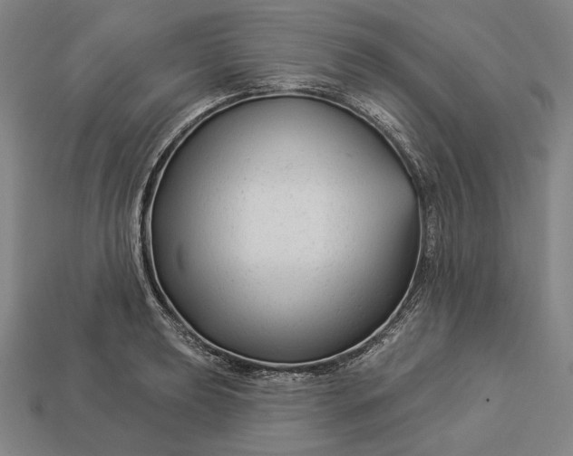 X0000112891039200909111500
