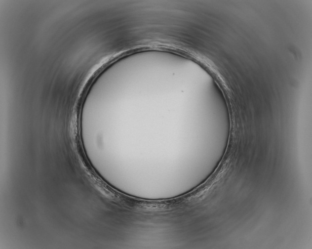 X0000112891040200909111500