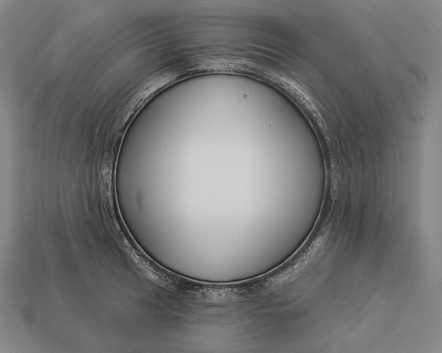 X0000112891041200909111500