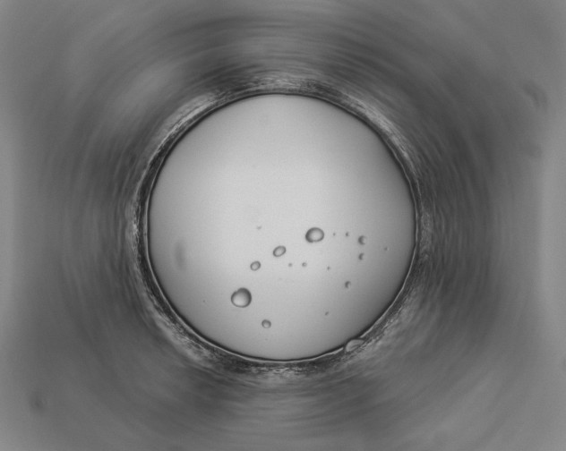 X0000112891042200909111500