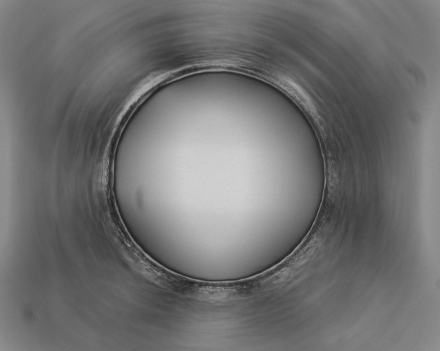 X0000112891044200909111500