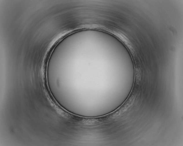 X0000112891046200909111500