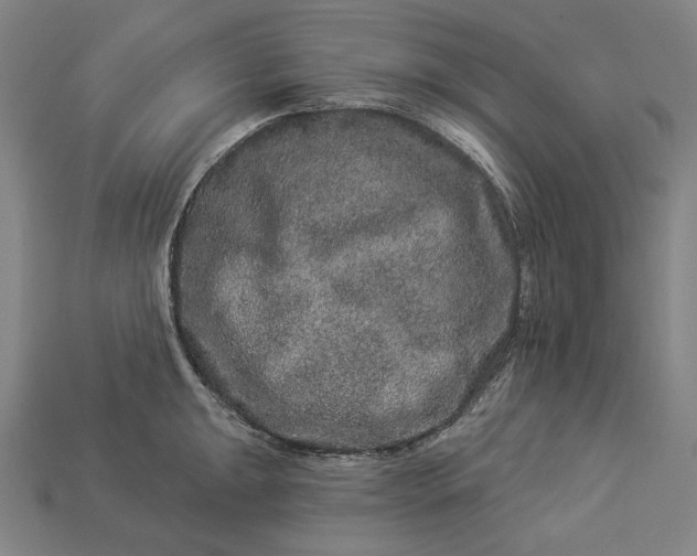 X0000112891047200909111500