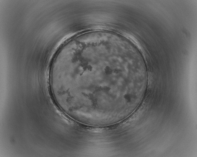 X0000112891048200909111500
