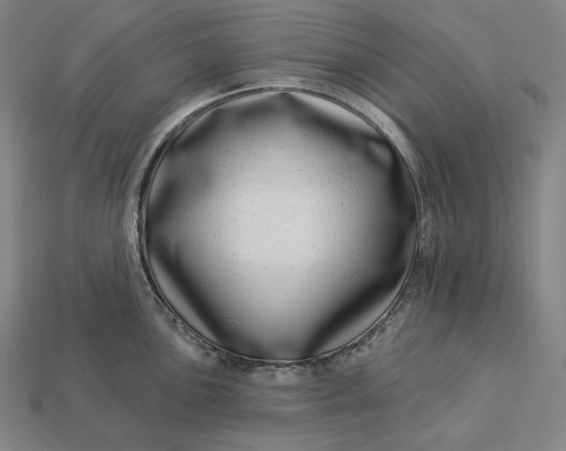 X0000112891051200909111500