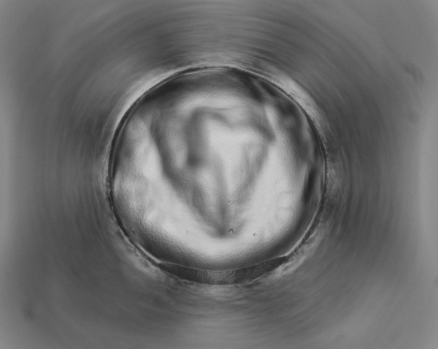 X0000112891052200909111500