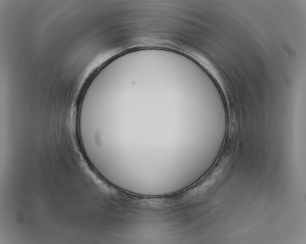 X0000112891053200909111500