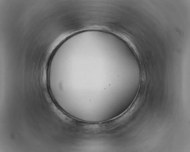 X0000112891054200909111500