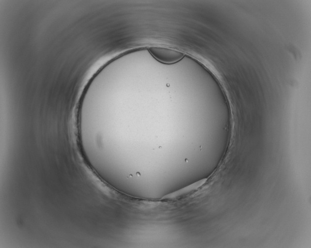 X0000112891056200909111500
