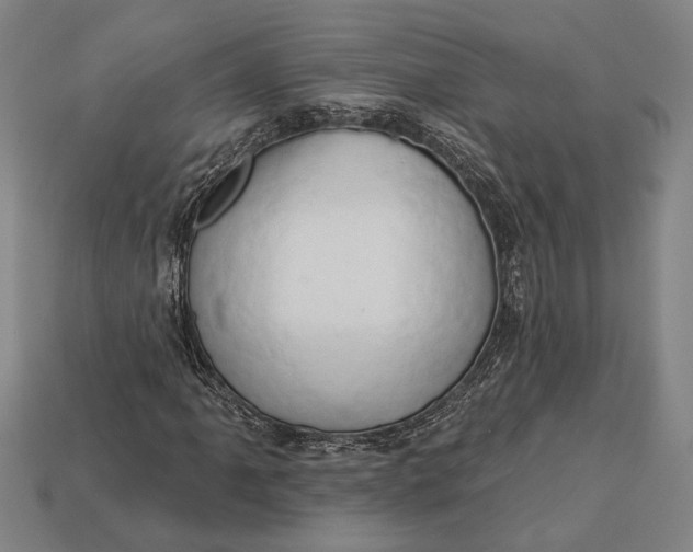 X0000112891061200909111459
