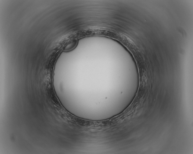 X0000112891062200909111459
