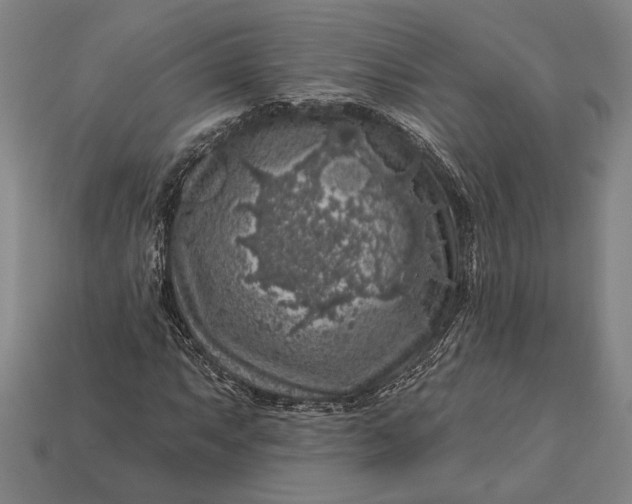 X0000112891063200909111459