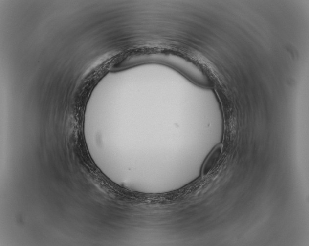 X0000112891064200909111459
