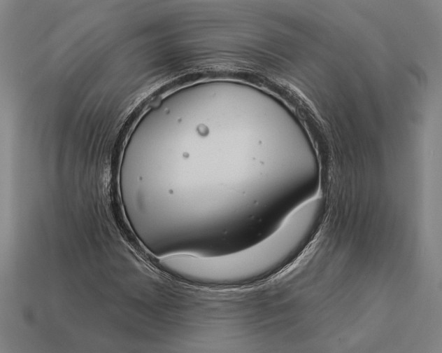 X0000112891065200909111459