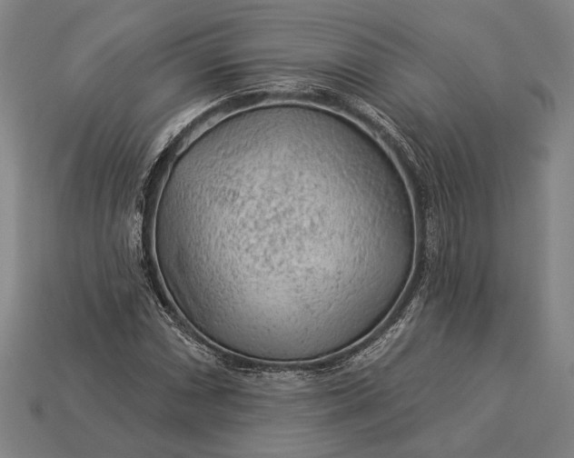 X0000112891066200909111459