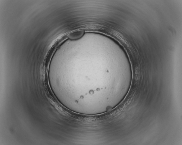 X0000112891067200909111459