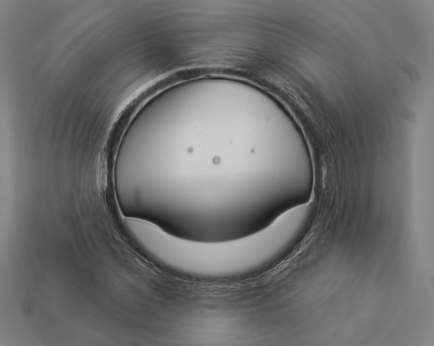X0000112891069200909111459