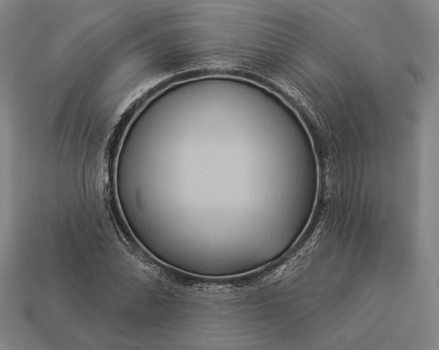 X0000112891070200909111459